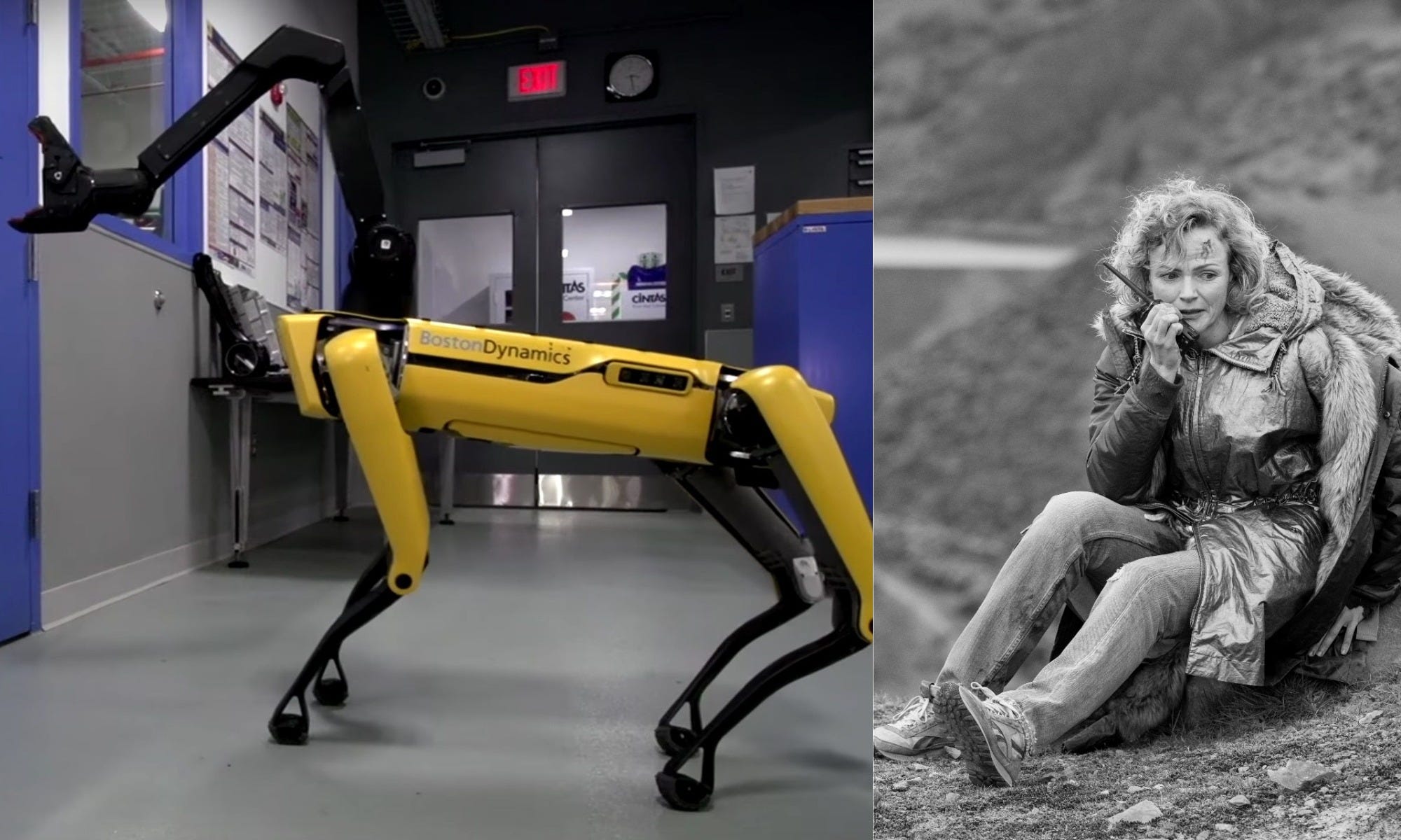 boston dynamics robot dog